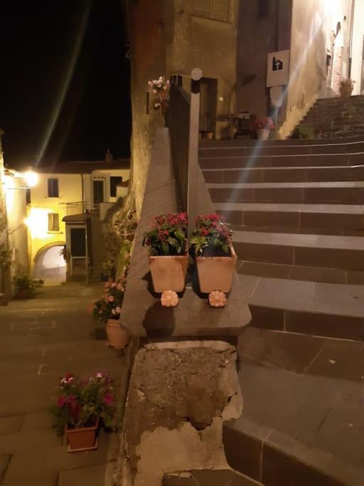 BoccheggianoCasa Il Girasole别墅 外观 照片